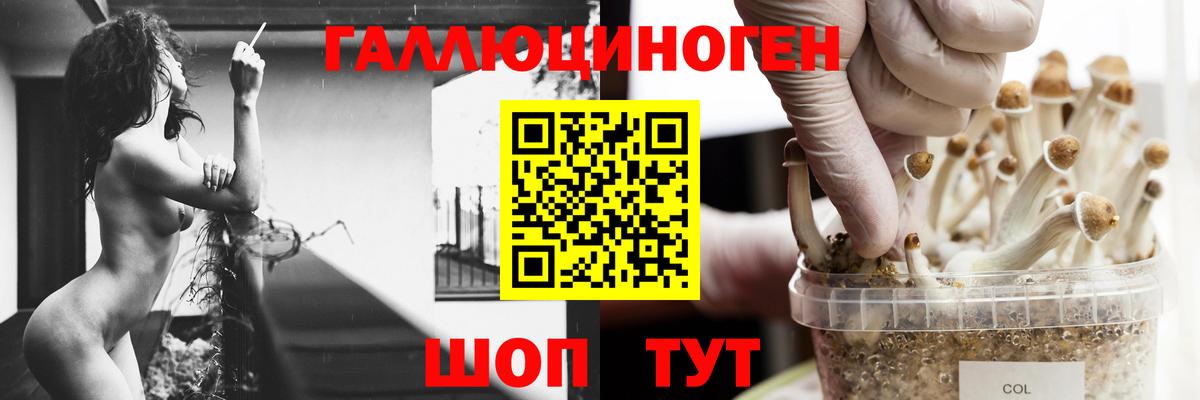Галлюциногенные грибы Cubensis  Галлюциногенные грибы Magic Shrooms  Вход с VPN  Магнитогорск 